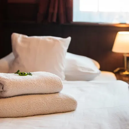 U Hejtmana šarovce Hotel Uherské Hradiště